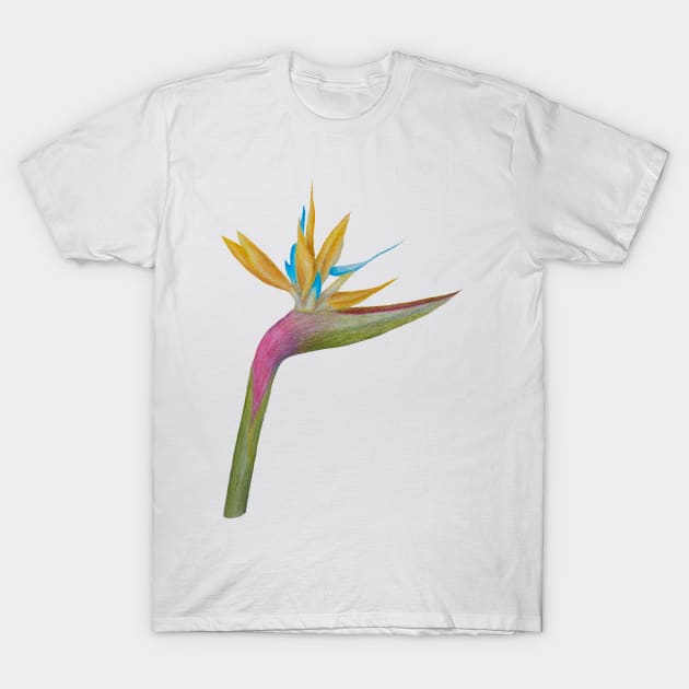 Bird of Paradise T-Shirt by tiger1oo